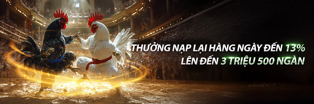 Đá gà trực tuyến 88vn